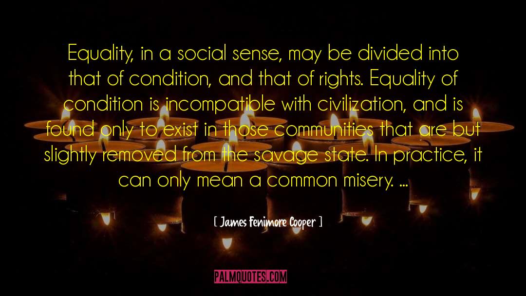 Social Equality quotes by James Fenimore Cooper