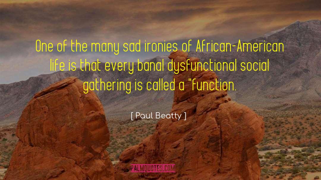 Social Fabric quotes by Paul Beatty