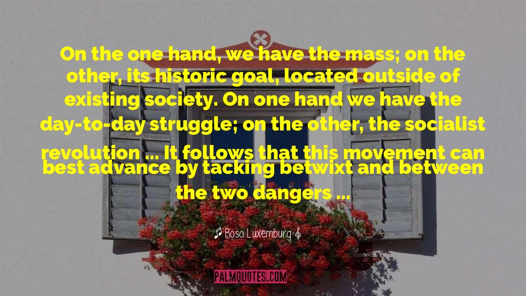 Social Functions quotes by Rosa Luxemburg
