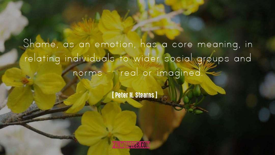 Social Groups quotes by Peter N. Stearns