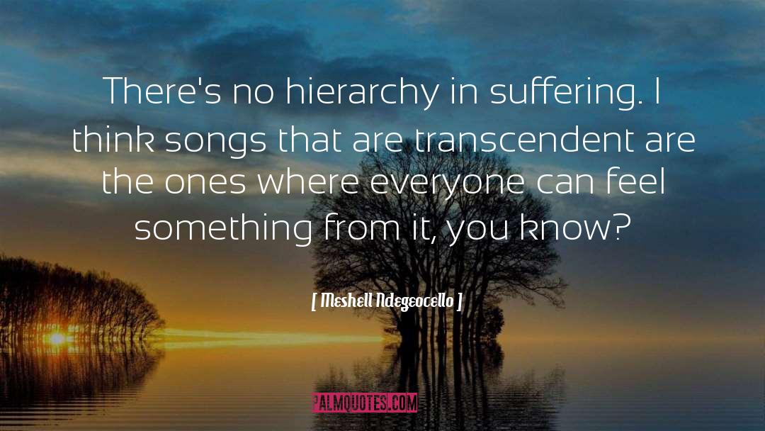 Social Hierarchy quotes by Meshell Ndegeocello