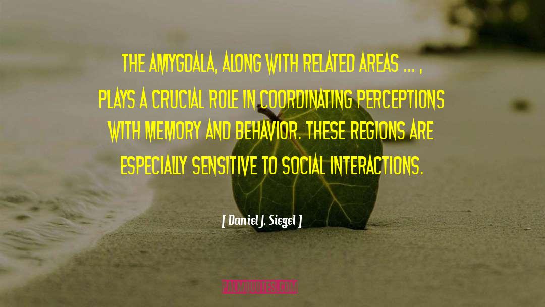 Social Interactions quotes by Daniel J. Siegel