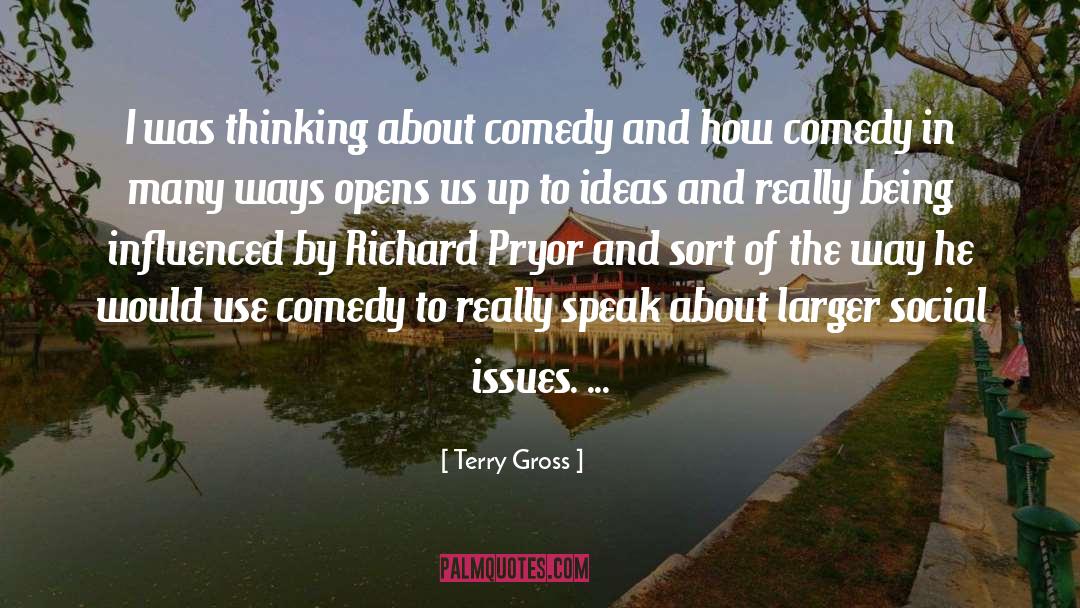 Social Issues quotes by Terry Gross