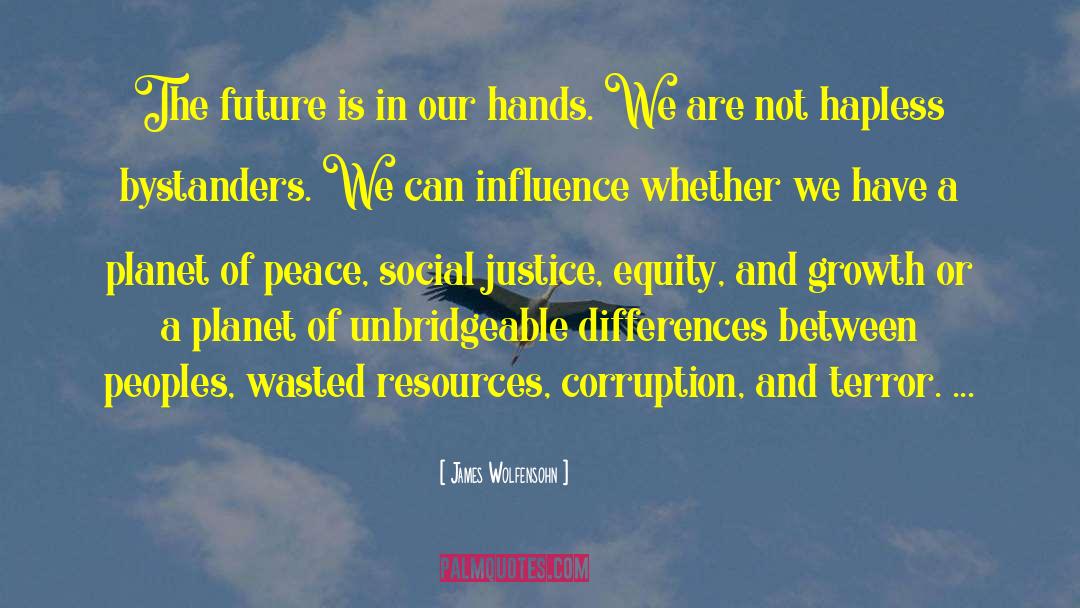 Social Justice Warriors quotes by James Wolfensohn