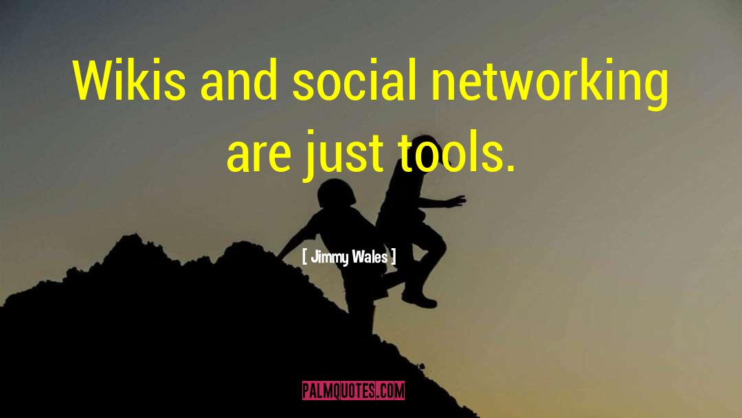 Social Networking quotes by Jimmy Wales