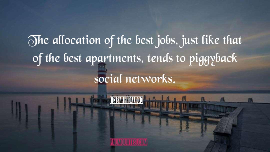 Social Networks quotes by Cesar Hidalgo