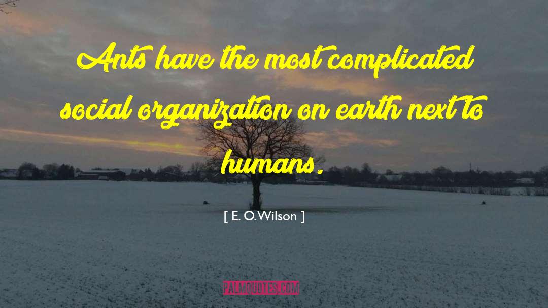 Social Organization quotes by E. O. Wilson