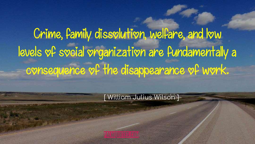 Social Organization quotes by William Julius Wilson