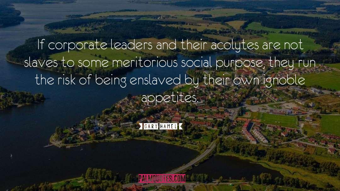 Social Purpose quotes by Gary Hamel