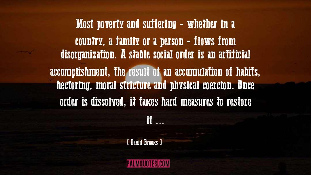 Social Reform quotes by David Brooks