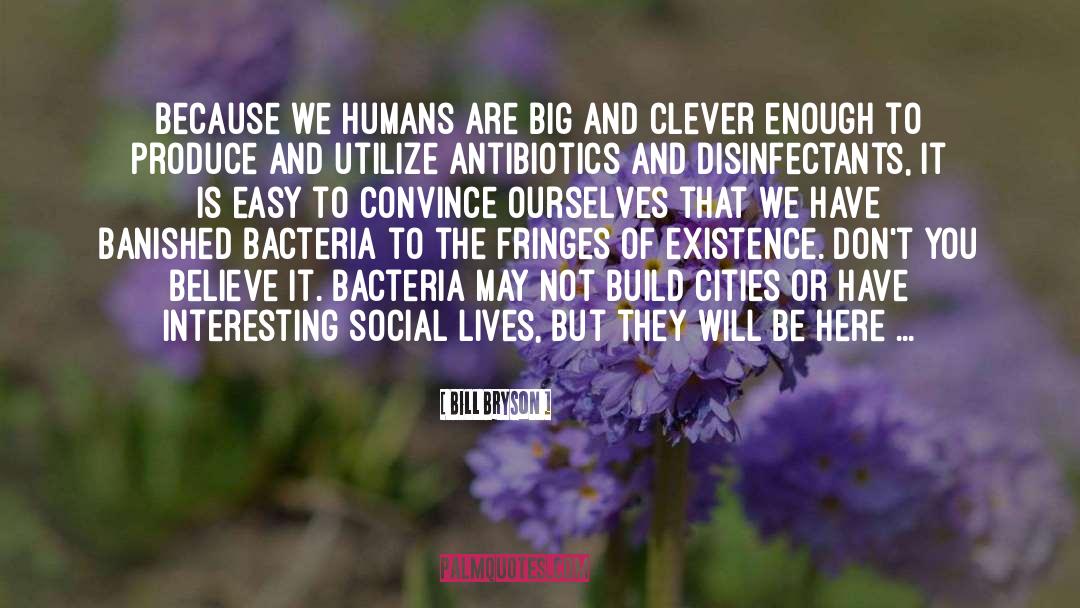 Social Reformer quotes by Bill Bryson