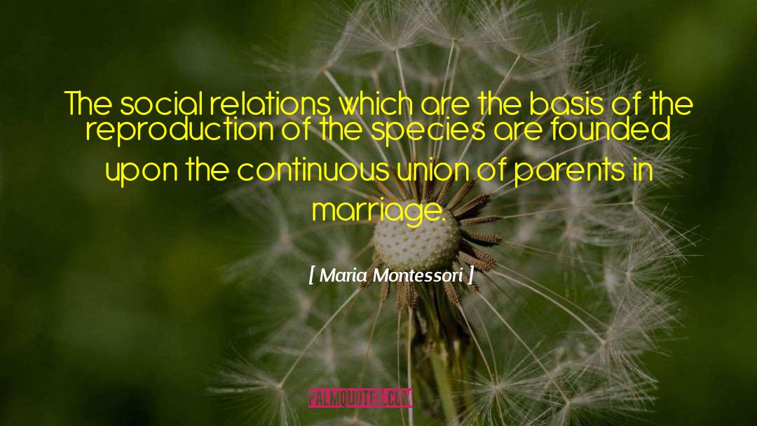 Social Relations quotes by Maria Montessori