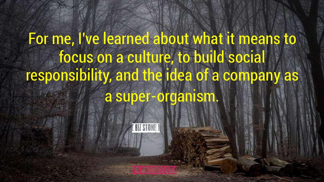 Social Responsibility quotes by Biz Stone