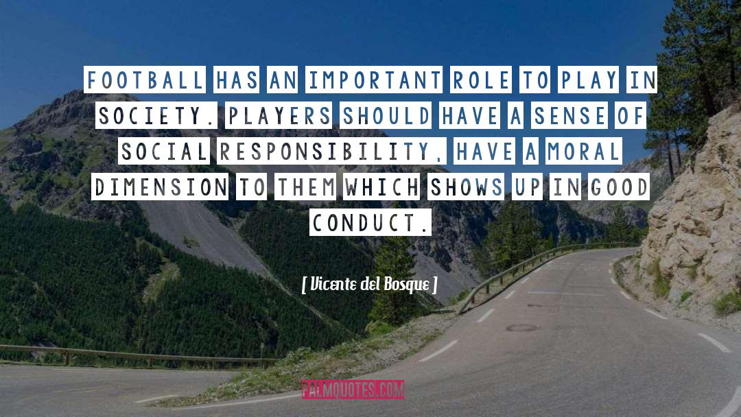 Social Responsibility quotes by Vicente Del Bosque