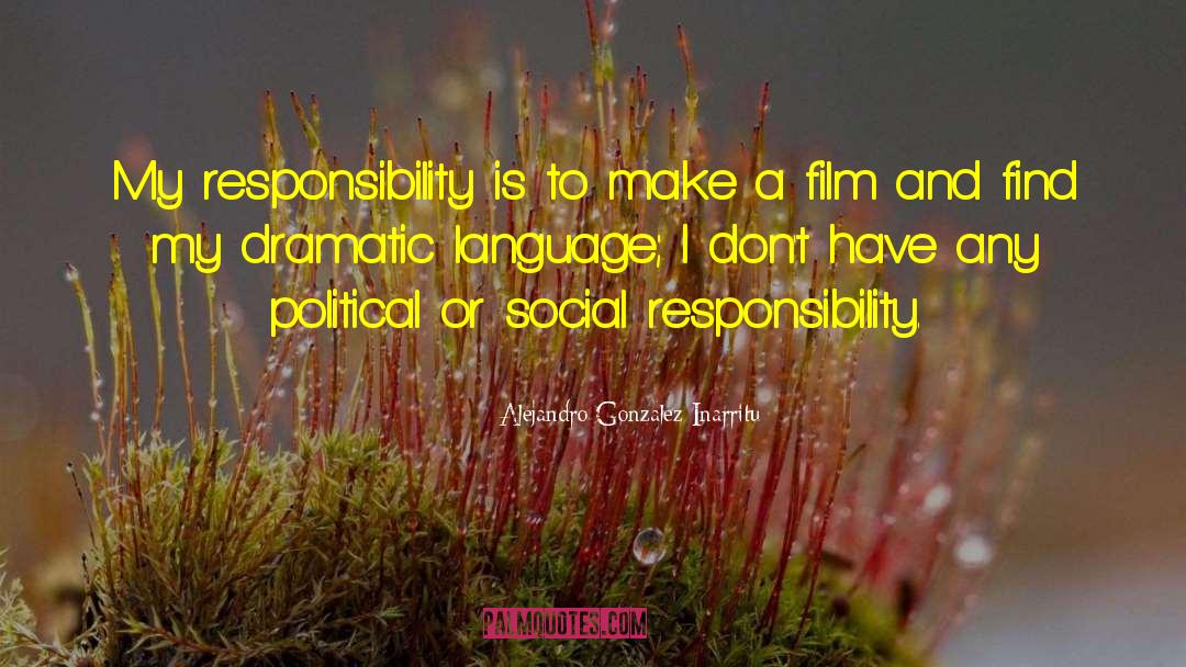 Social Responsibility quotes by Alejandro Gonzalez Inarritu