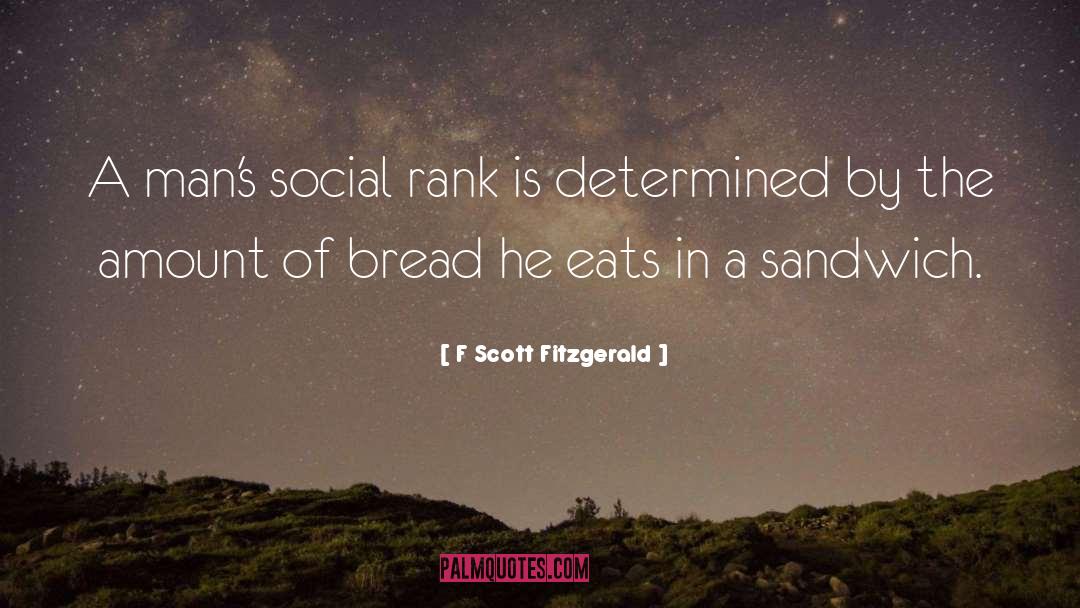 Social Standing quotes by F Scott Fitzgerald