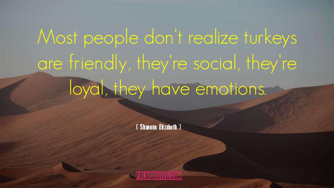 Social Stratification quotes by Shannon Elizabeth