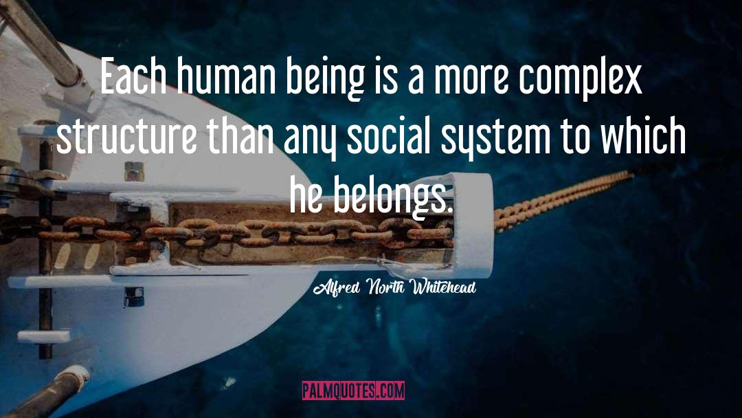 Social System quotes by Alfred North Whitehead