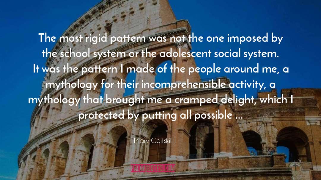 Social System quotes by Mary Gaitskill