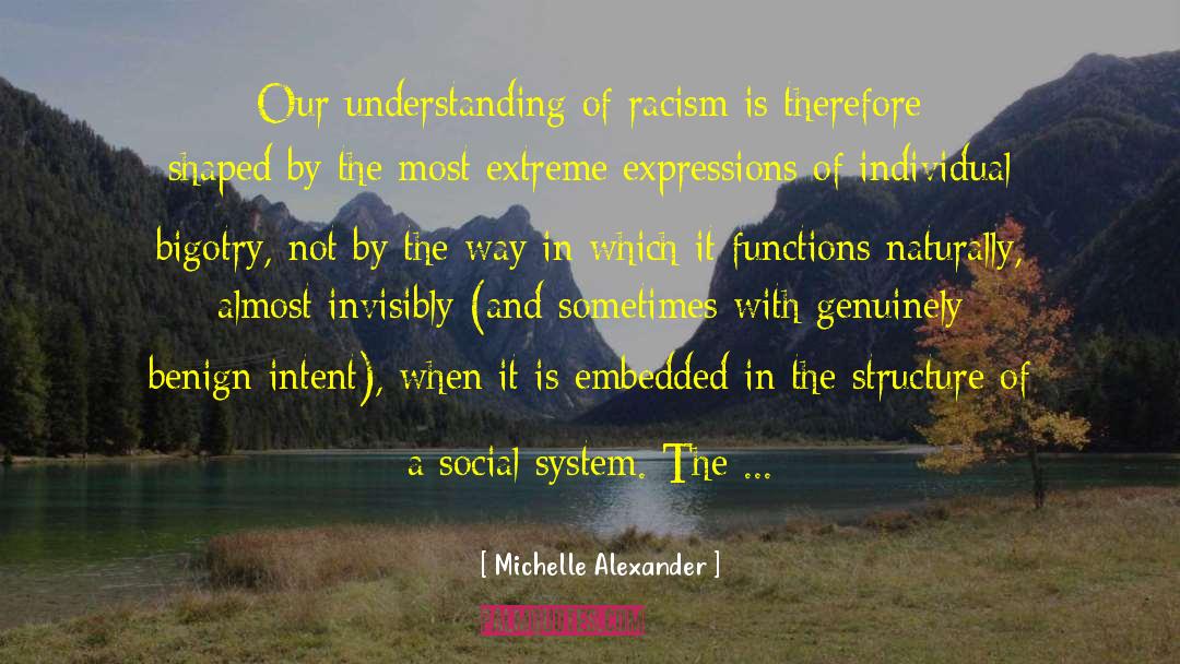 Social System quotes by Michelle Alexander