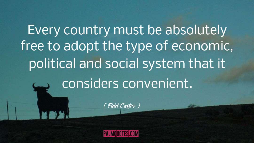 Social System quotes by Fidel Castro