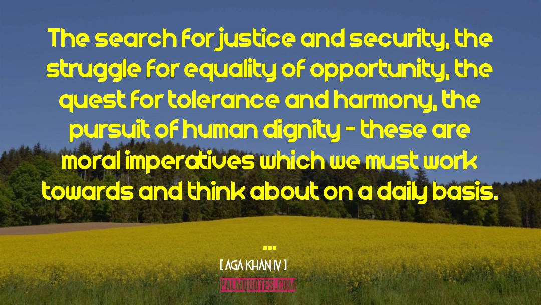 Social Work quotes by Aga Khan IV