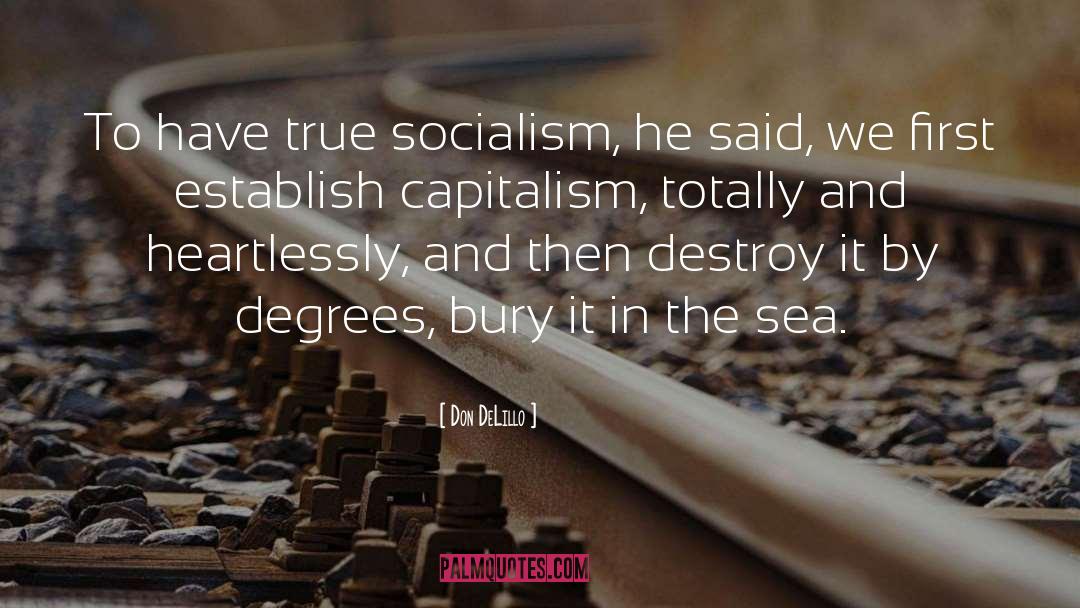 Socialism quotes by Don DeLillo
