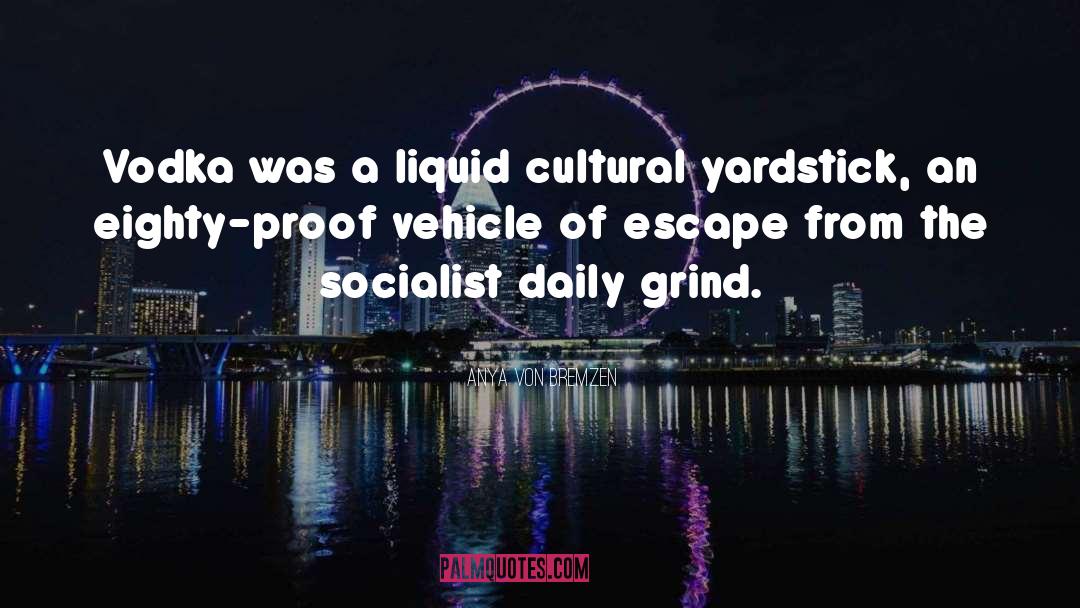 Socialist Civilisations quotes by Anya Von Bremzen