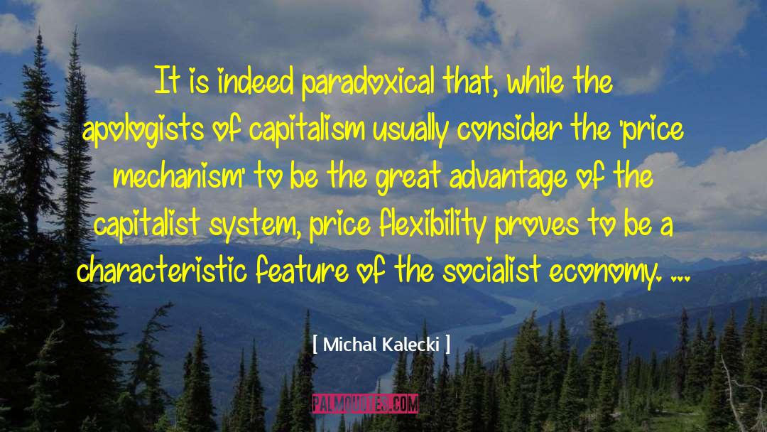 Socialist Economy quotes by Michal Kalecki