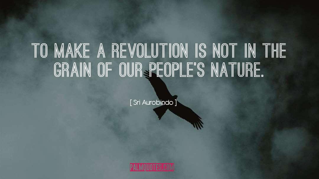 Socialist Revolution quotes by Sri Aurobindo