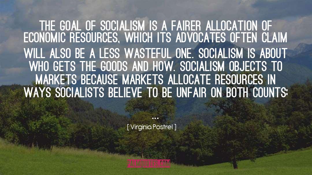 Socialists quotes by Virginia Postrel