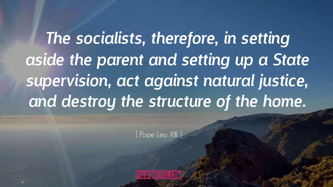 Socialists quotes by Pope Leo XIII