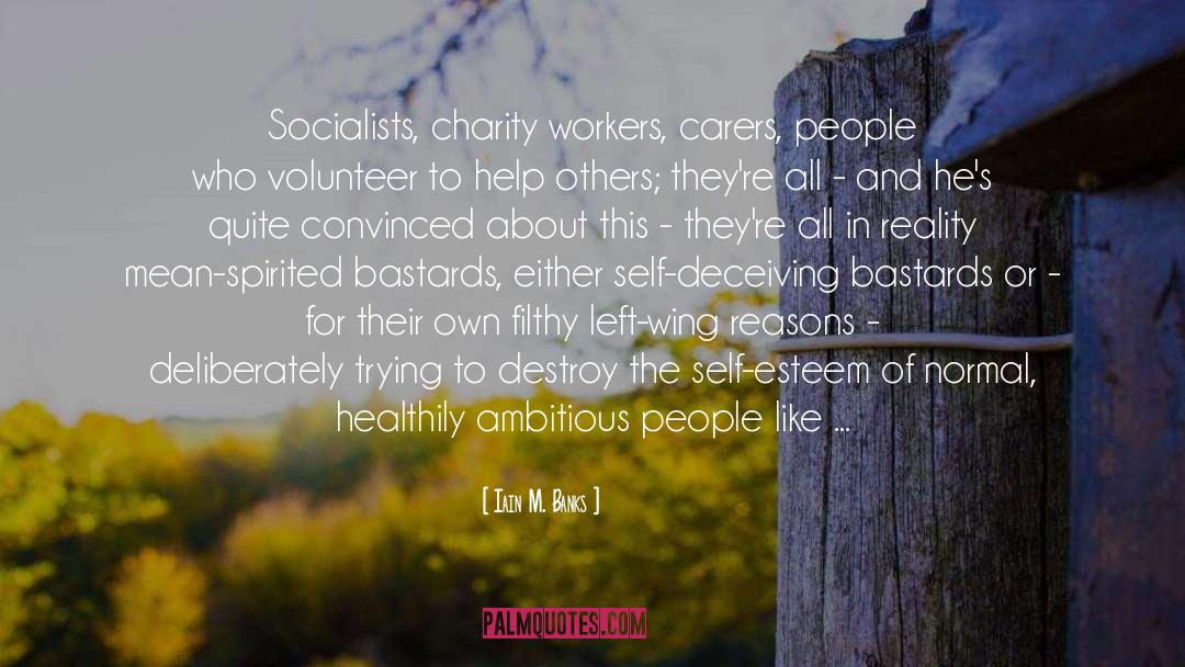 Socialists quotes by Iain M. Banks