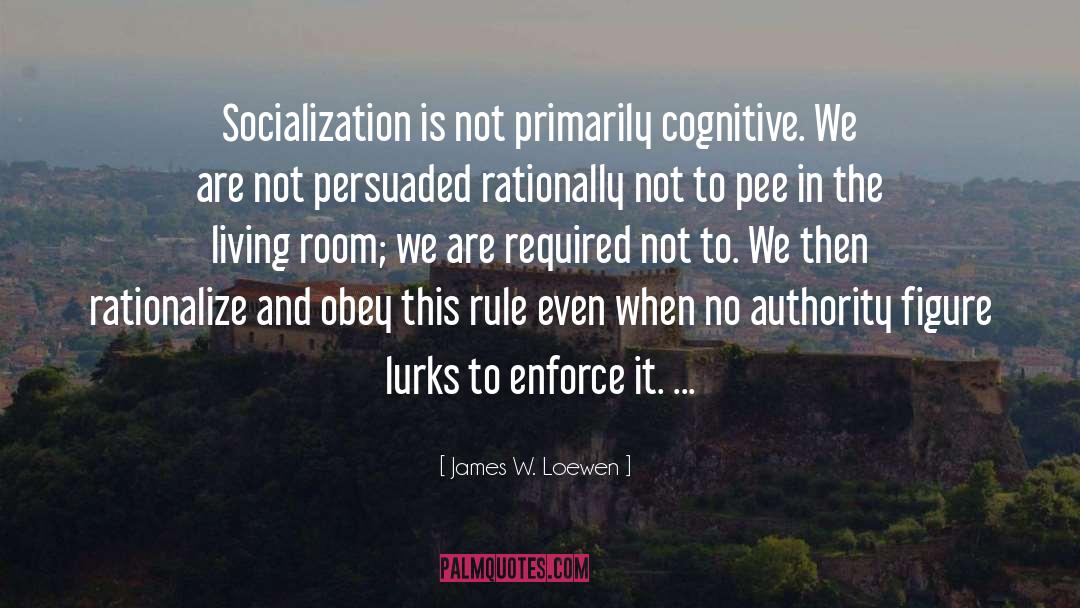 Socialization quotes by James W. Loewen