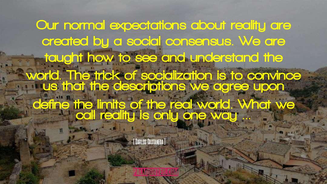 Socialization quotes by Carlos Castaneda