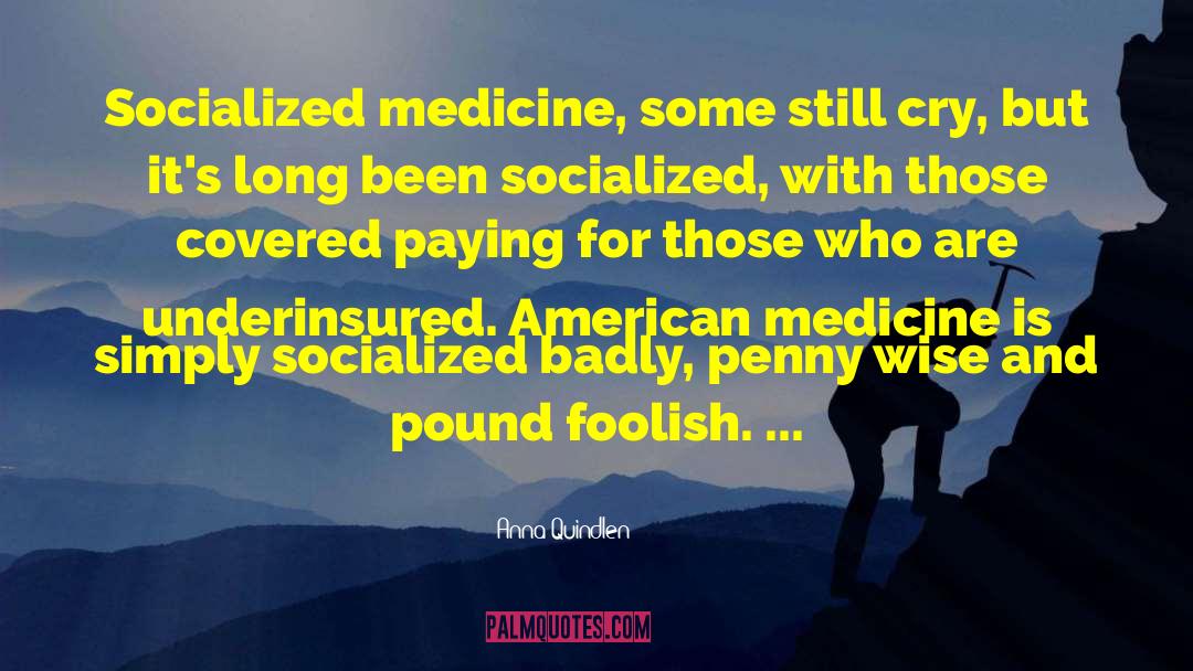 Socialized Medicine quotes by Anna Quindlen