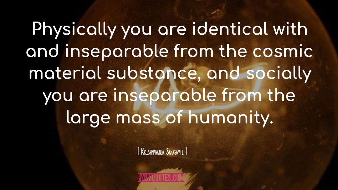 Socially Unacceptable quotes by Krishnananda Saraswati