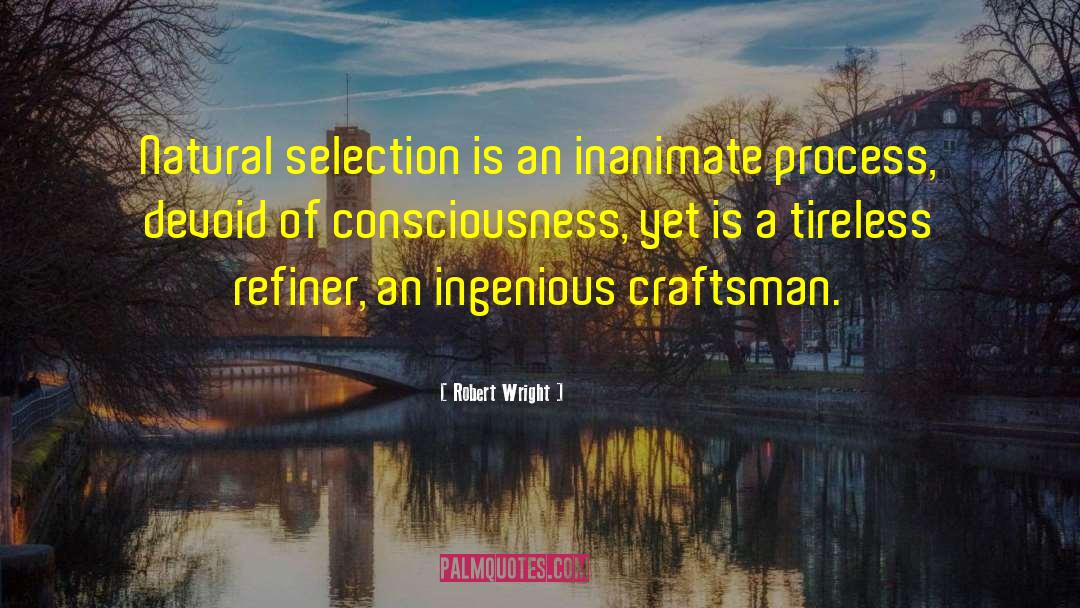 Societal Consciousness quotes by Robert Wright