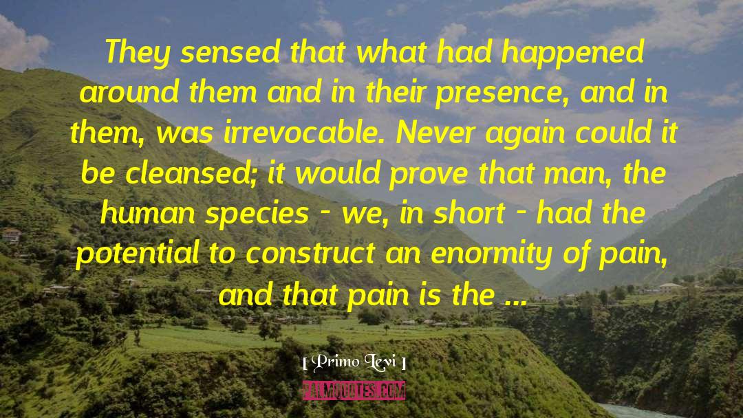 Societal Constructs quotes by Primo Levi