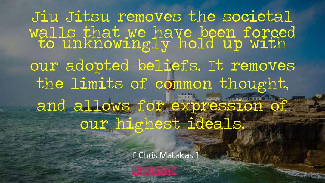 Societal Degredation quotes by Chris Matakas