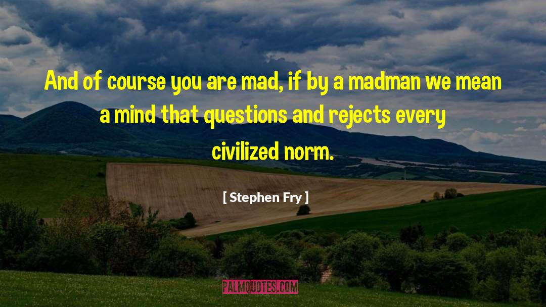 Societal Norm quotes by Stephen Fry