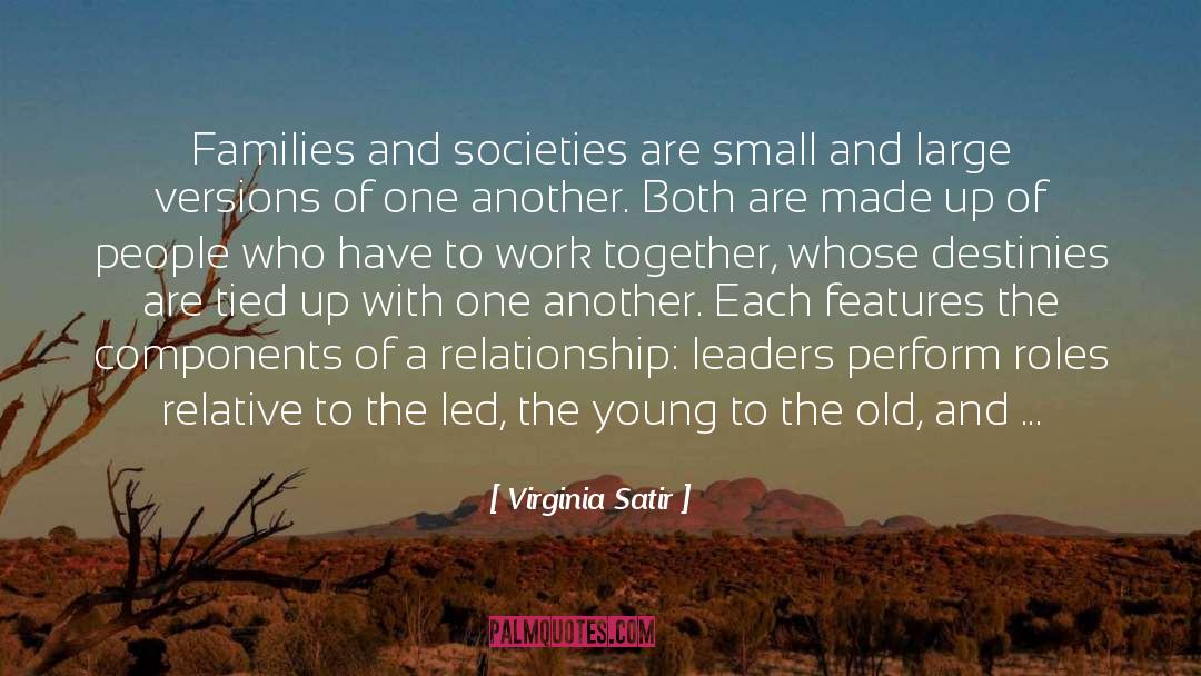 Societies quotes by Virginia Satir