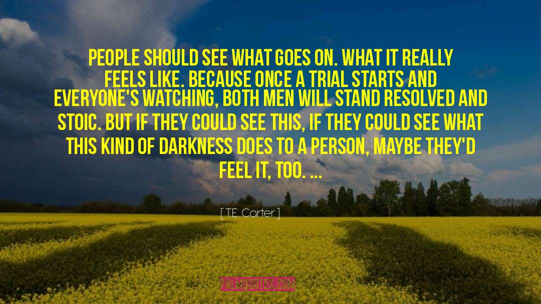 Society Darkness Person quotes by T.E. Carter