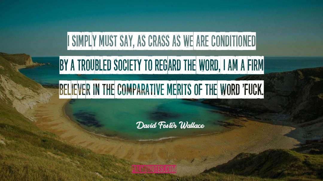 Society Novel quotes by David Foster Wallace