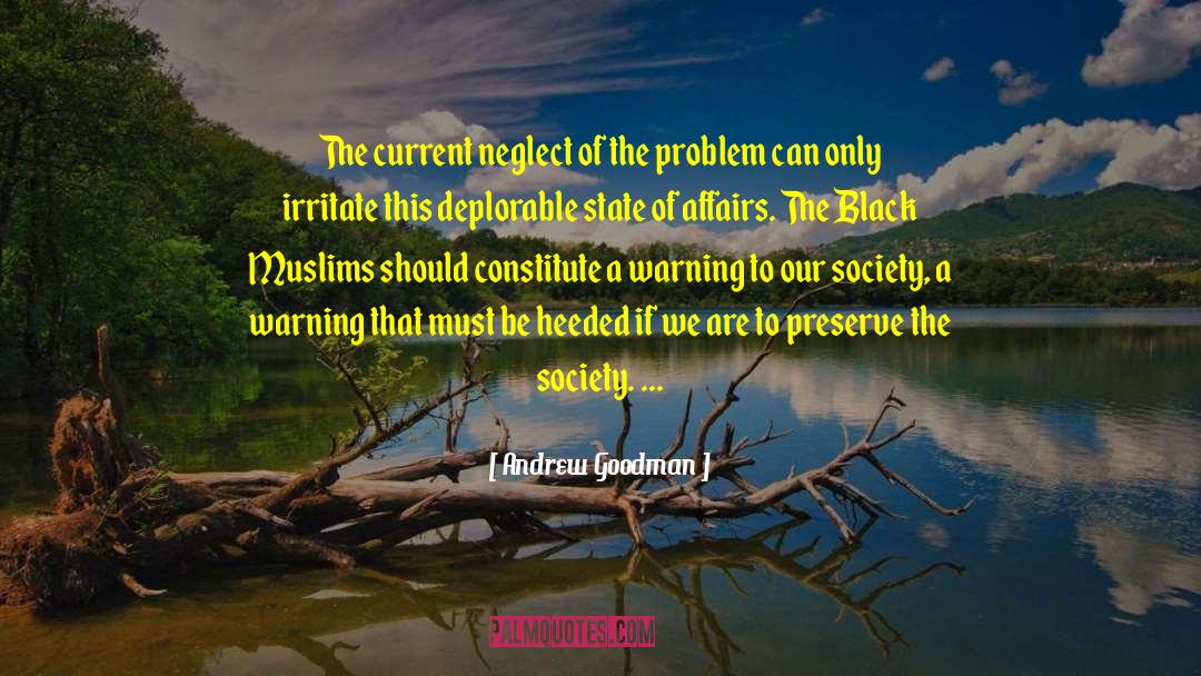 Society Problem quotes by Andrew Goodman