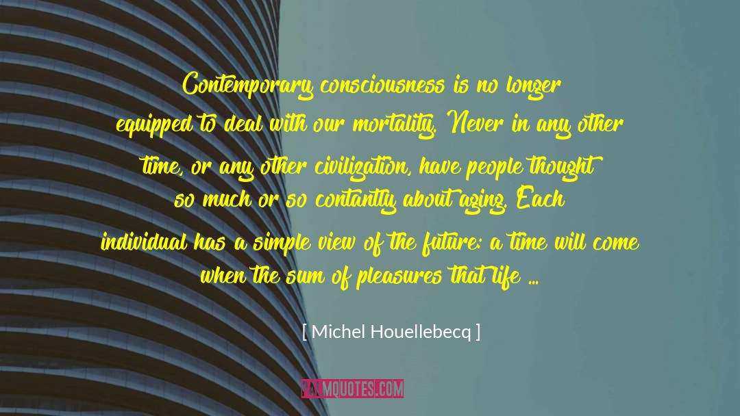 Sociocentric View quotes by Michel Houellebecq