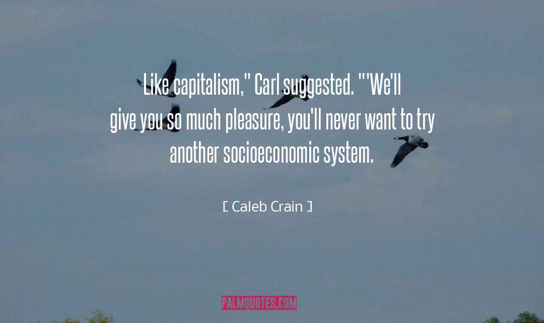 Socioeconomic System quotes by Caleb Crain