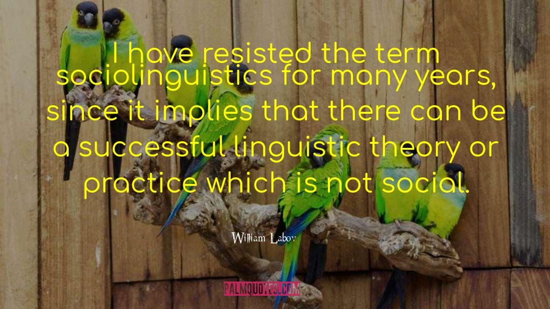 Sociolinguistics quotes by William Labov