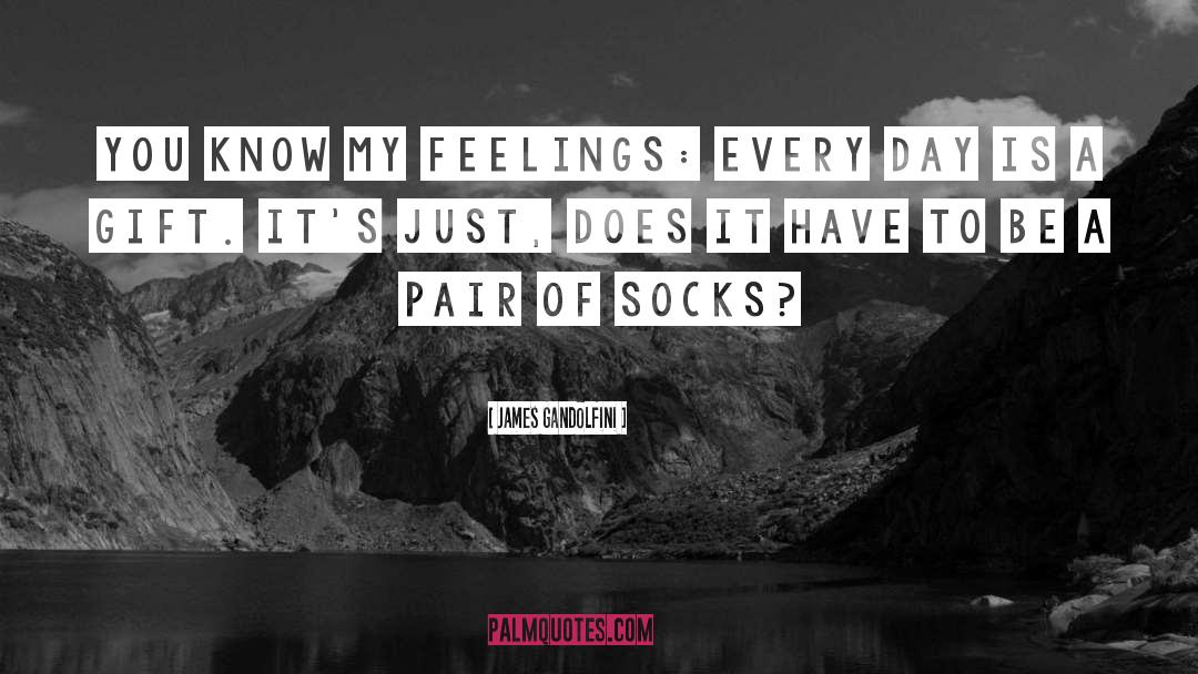 Socks quotes by James Gandolfini