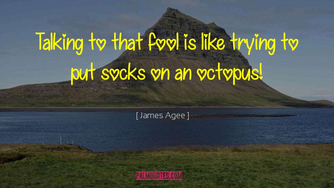 Socks quotes by James Agee
